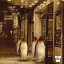 Vintage tisk BRIDE FOR SALE