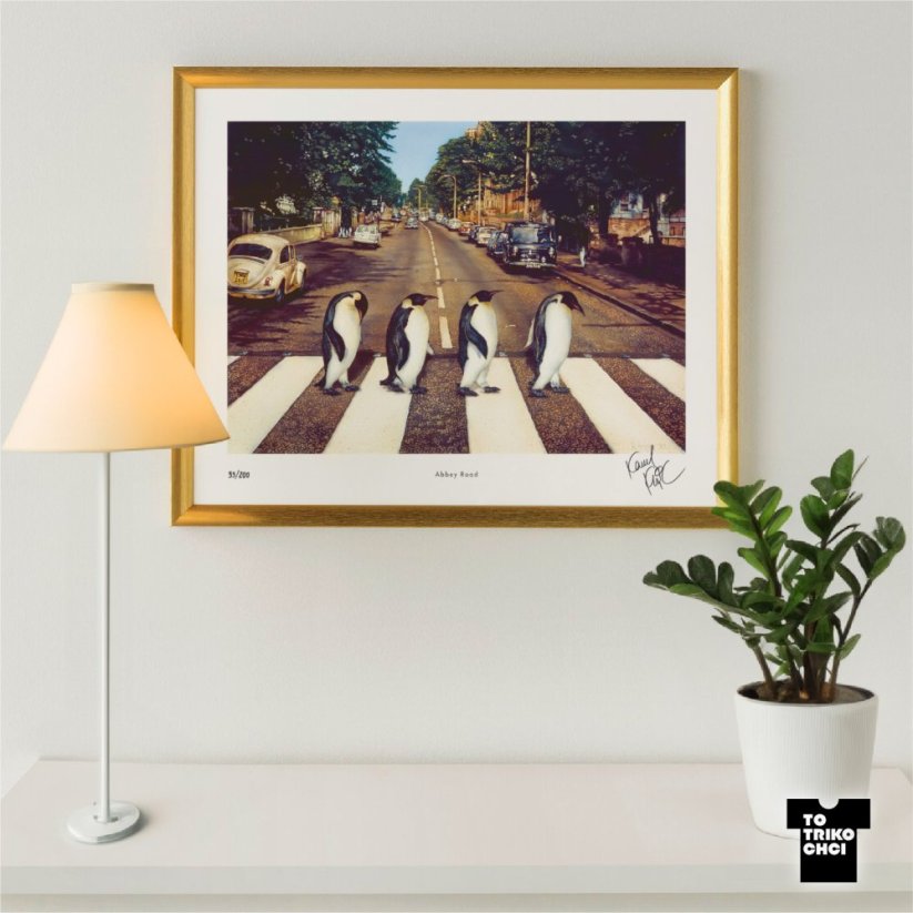 Tisk ABBEY ROAD