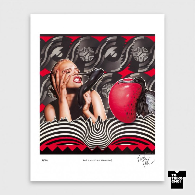 Tisk RED BARON (STEEL MEMORIES) - Velikost tisku: 50 x 70 cm